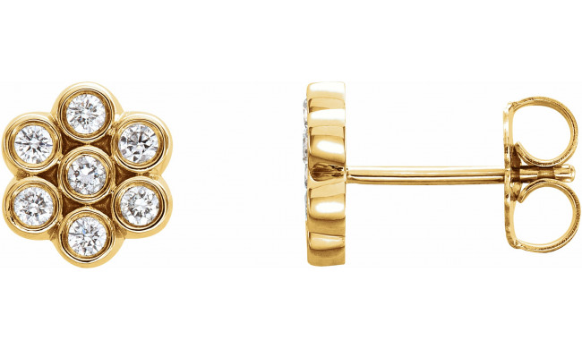 14K Yellow 1/4 CTW Diamond Cluster Earrings - 86462601P
