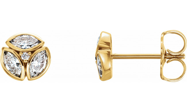 14K Yellow 1/2 CTW Diamond Earrings - 86445601P