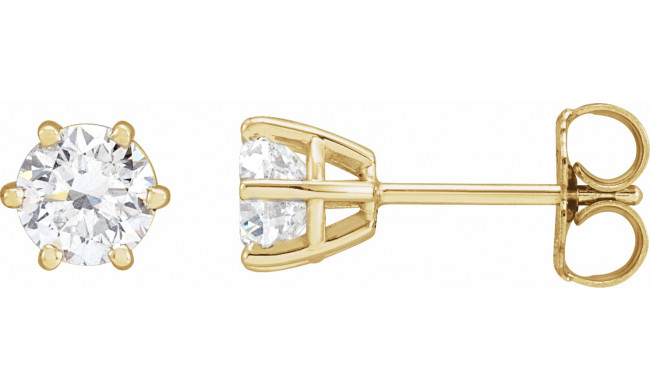 14K Yellow 5 mm SI2-SI3 1 CTW Diamond 6-Prong Wire Basket Earrings - 292366117P