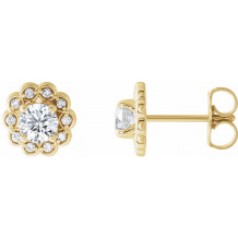 14K Yellow 5/8 CTW Diamond Halo-Style Earrings - 86663606P