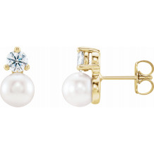 14K Yellow Freshwater Cultured Pearl & 1/2 CTW Diamond Earrings - 86719601P