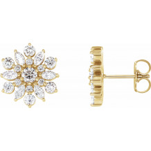 14K Yellow 1 CTW Diamond Earrings - 86947601P